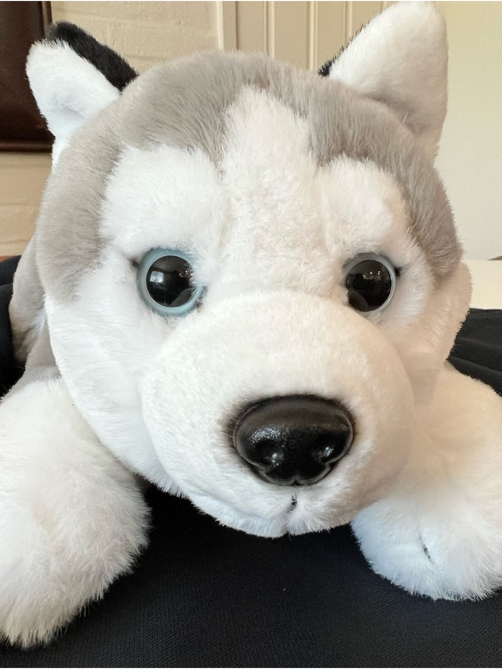 * 2023 FAO Schwarz Adopt-A-Pets Husky Dog Laying Stuffed Plush Toy 15"-284